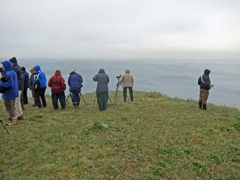 St. Paul, Pribilof Islands