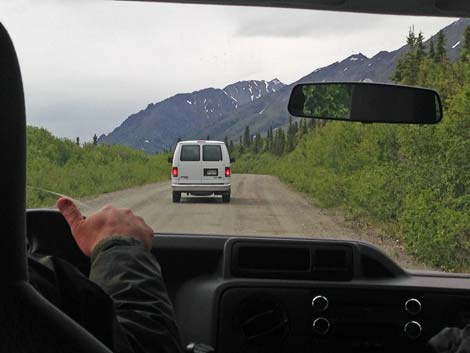 Denali birding