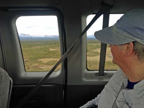 Denali birding