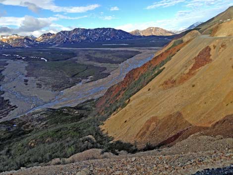 Denali birding