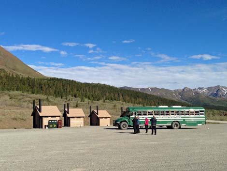 Denali birding