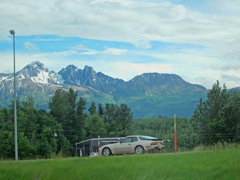 Denali birding