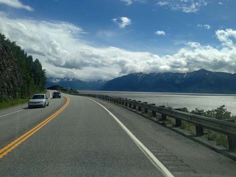 Alaska Birding