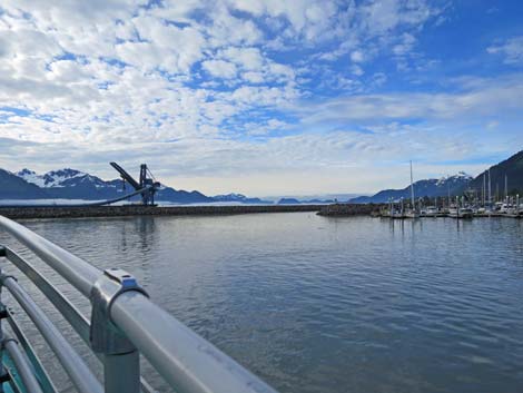 Seward birding