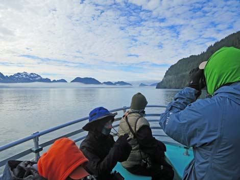 Seward birding