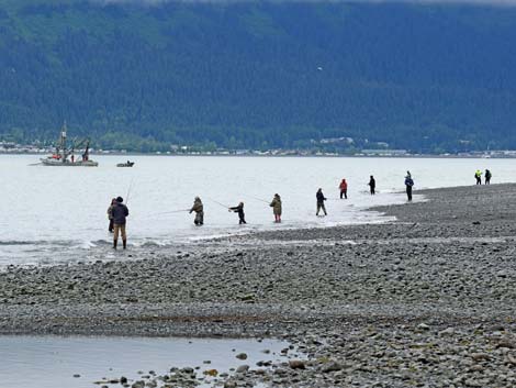 Seward birding