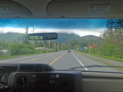 Seward Birding