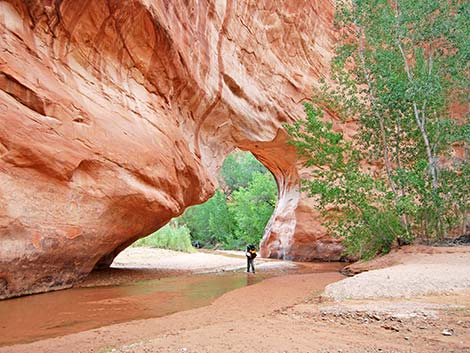 coyote gulch