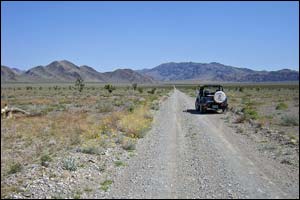 desert national wildlife range