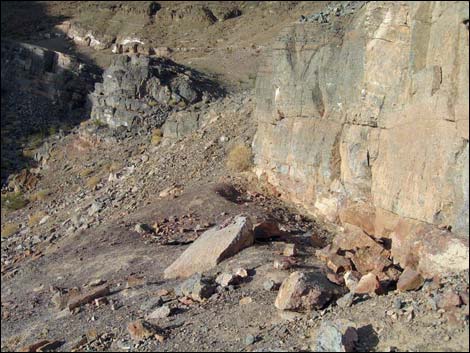 Cadiz Trilobite Quarry