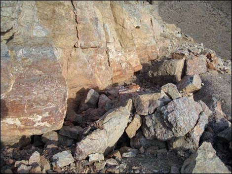 Cadiz Trilobite Quarry