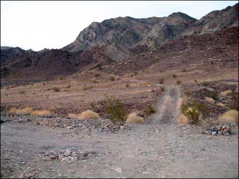 Chambless Trilobite Quarry