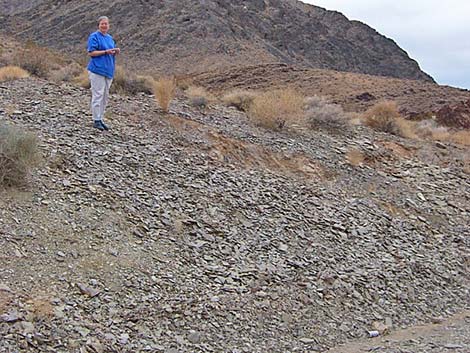 Nopah Trilobite Quarry