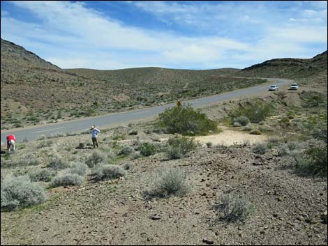 Nopah Trilobite Quarry