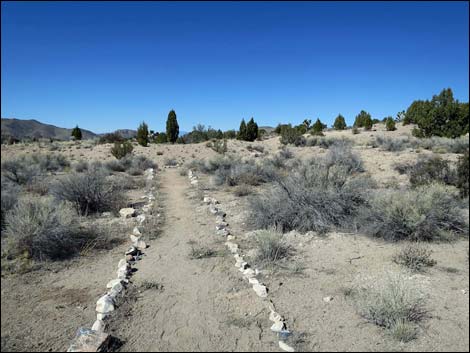 Oak Springs Trilobite Site