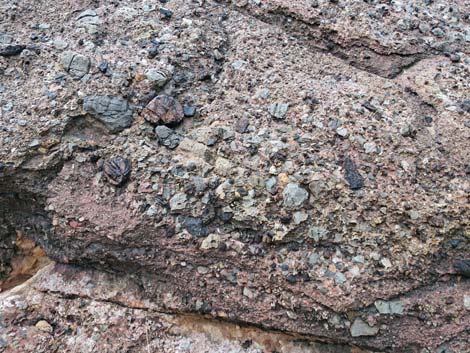 Conglomerate Rocks