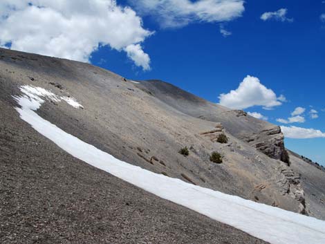 Alpine Tundra (Alpine Life Zone)