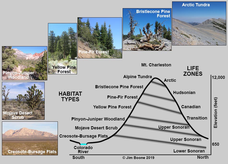 Life Zones