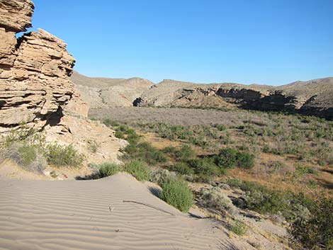 Arrow Canyon Wilderness Area