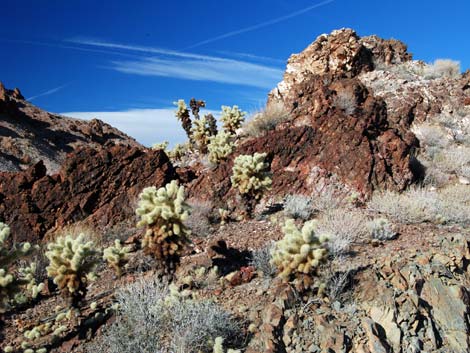 El Dorado Wilderness Area