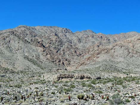 Ireteba Peaks Wilderness Area