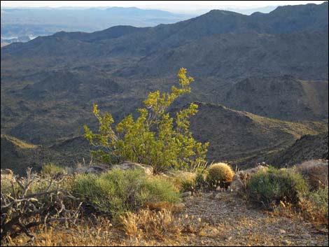 Jumbo Springs Wilderness Area