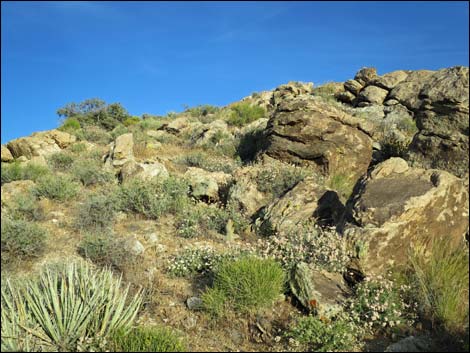 Jumbo Springs Wilderness Area