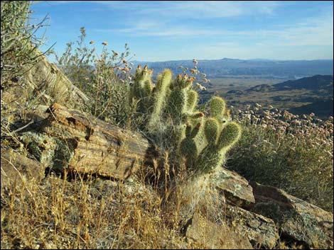 Jumbo Springs Wilderness Area