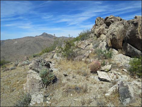 Jumbo Springs Wilderness Area