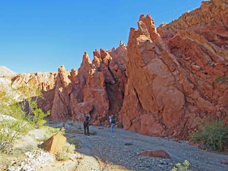 Lime Canyon Wilderness Area