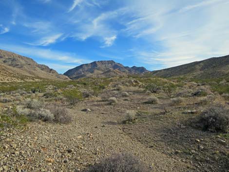 Lime Canyon Wilderness Area