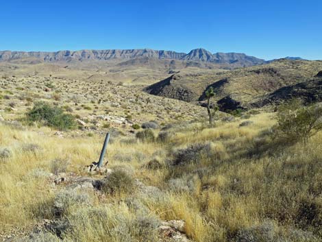 Lime Canyon Wilderness Area