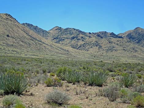 Meadow Valley Range Wilderness Area