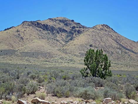 Meadow Valley Range Wilderness Area