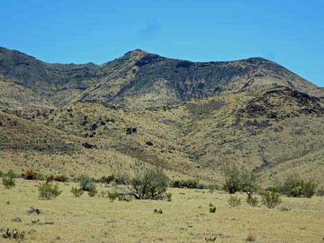 Meadow Valley Range Wilderness Area