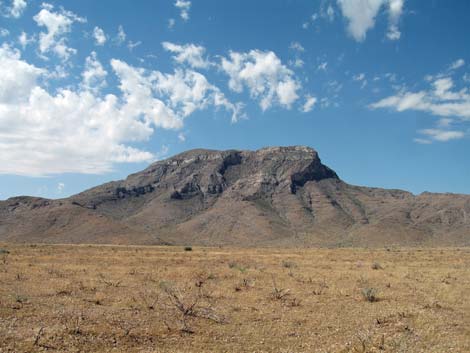 Mormon Mountains Wilderness Area