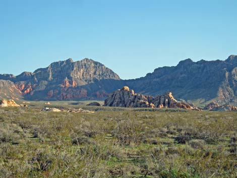 Muddy Mountains Wilderness Area