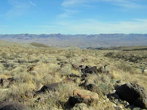 Nellis Wash Wilderness Area