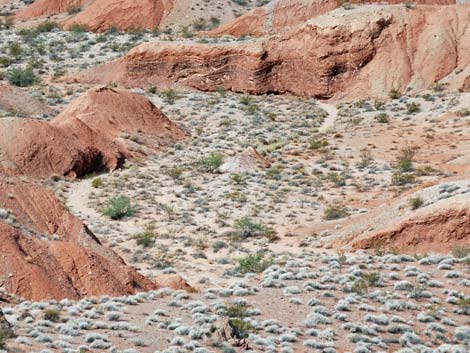 Pinto Valley Wilderness Area