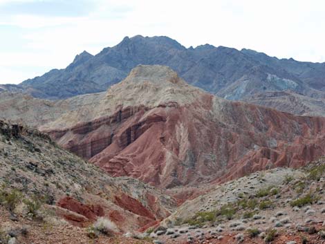 Pinto Valley Wilderness Area