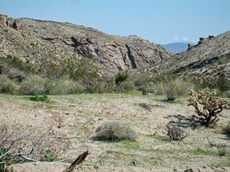 Spirit Mountain Wilderness Area