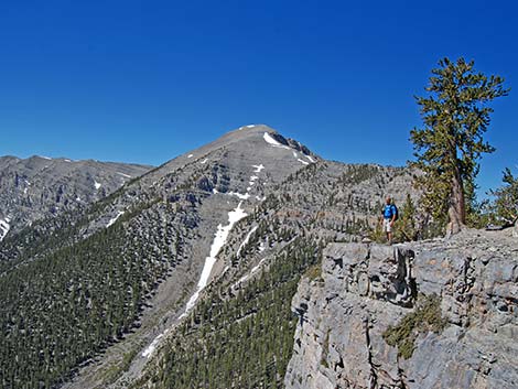 Mt. Charleston Wilderness Area